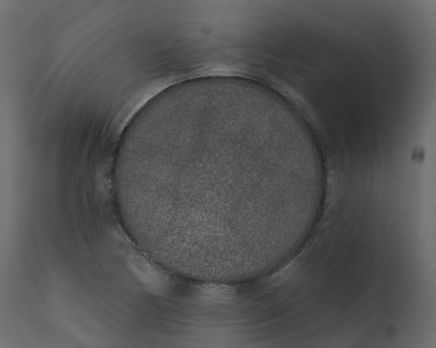 X0000110721170200906261449