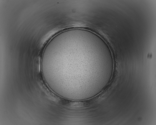 X0000110721171200906261449