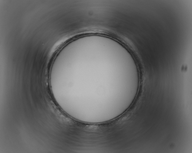 X0000110721172200906261448