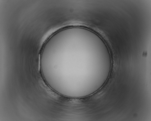 X0000110721175200906261448