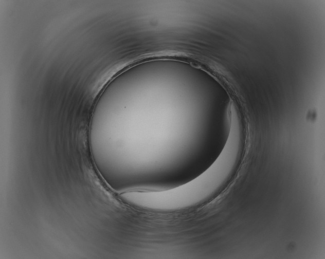 X0000110721177200906261448