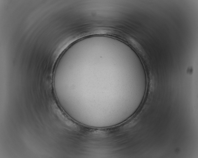 X0000110721178200906261448