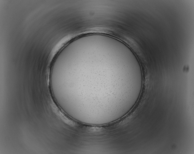 X0000110721180200906261448