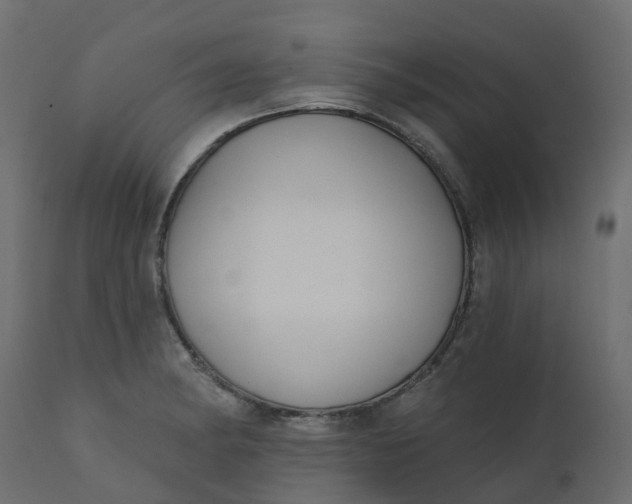 X0000110721182200906261448