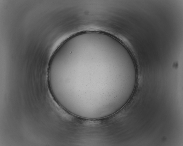 X0000110721183200906261448