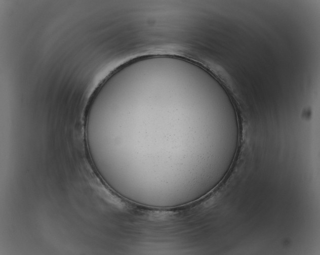 X0000110721184200906261448