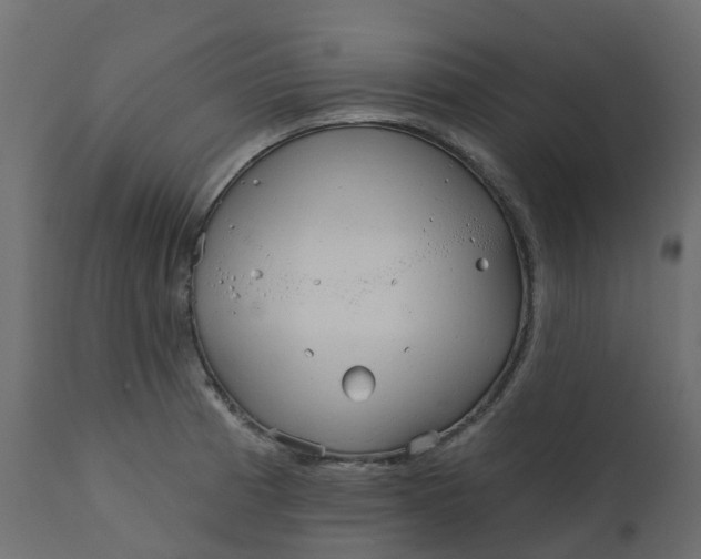 X0000110721185200906261448