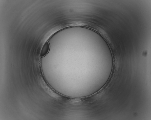 X0000110721186200906261448