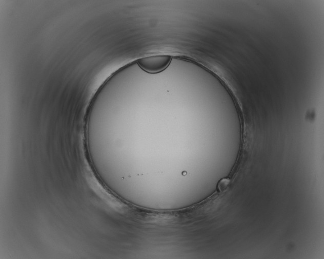 X0000110721187200906261448