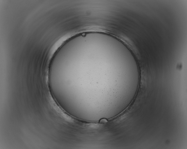 X0000110721188200906261448