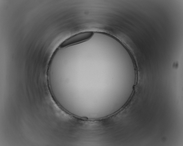 X0000110721189200906261448