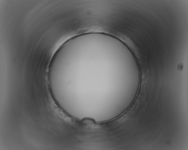 X0000110721190200906261448