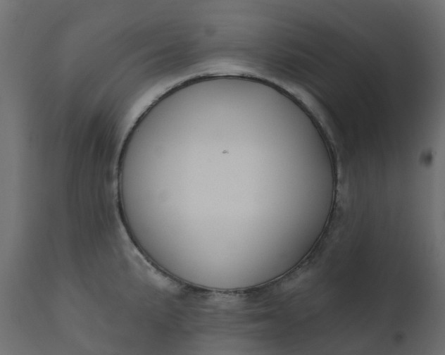 X0000110721191200906261448