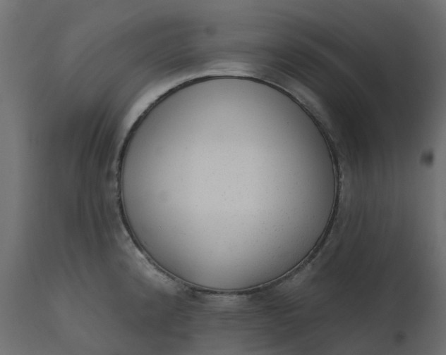 X0000110721192200906261448