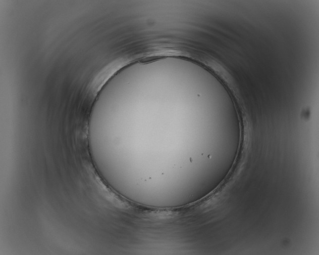 X0000110721193200906261448