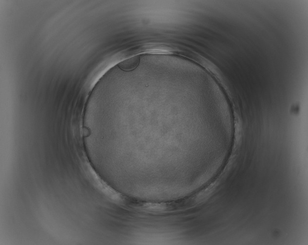 X0000110721194200906261448