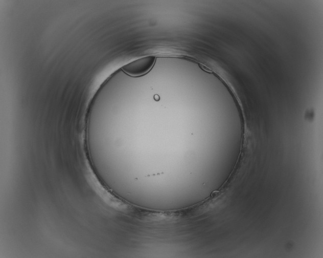 X0000110721195200906261448