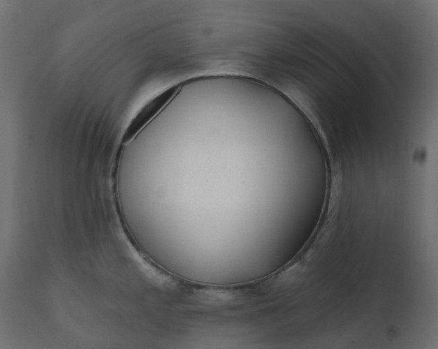 X0000110721197200906261448