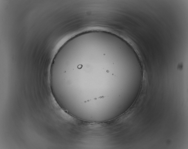 X0000110721199200906261448