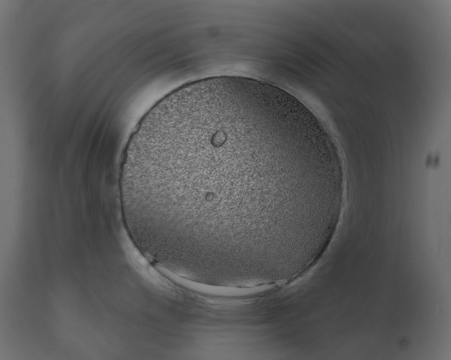 X0000110721200200906261448