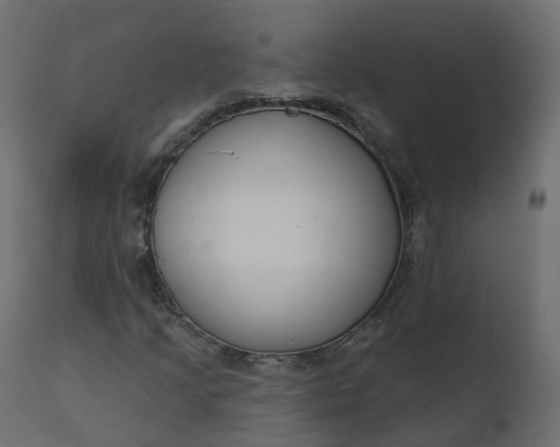 X0000110721205200906261447