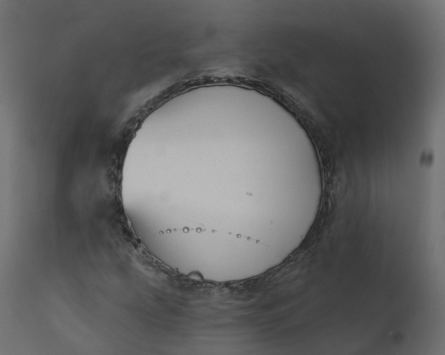 X0000110721207200906261447