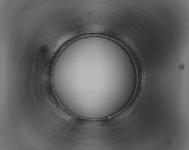 X0000110721210200906261447