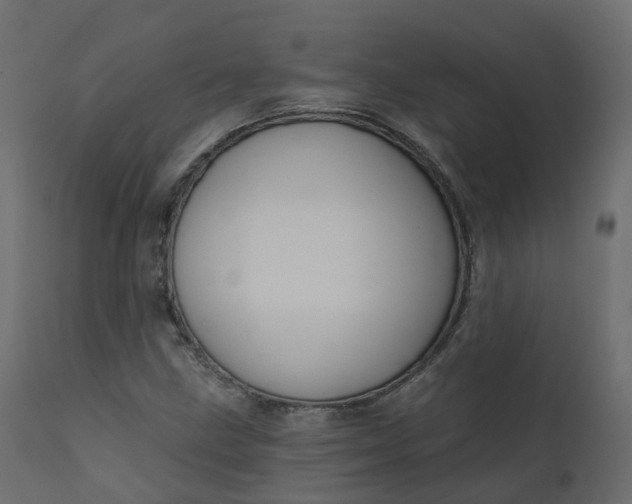 X0000110721211200906261447