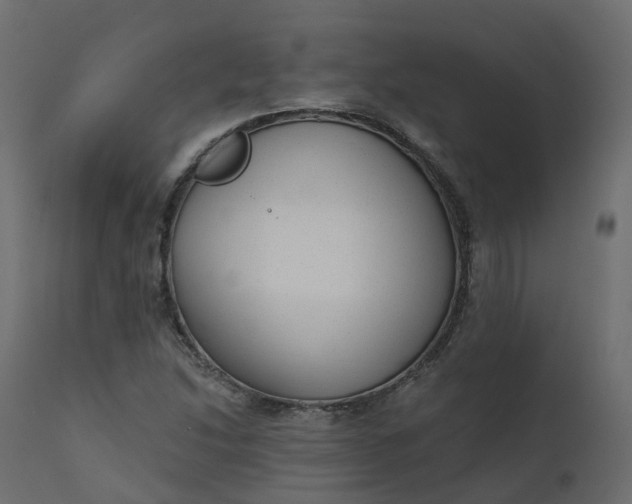 X0000110721214200906261447