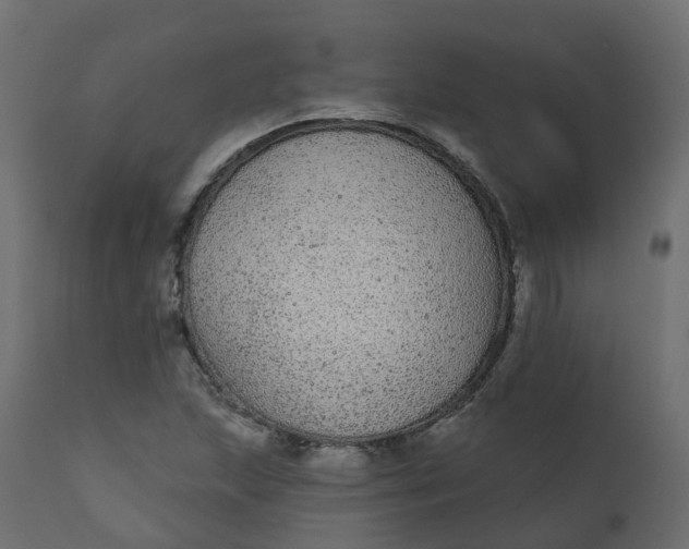 X0000110721215200906261447