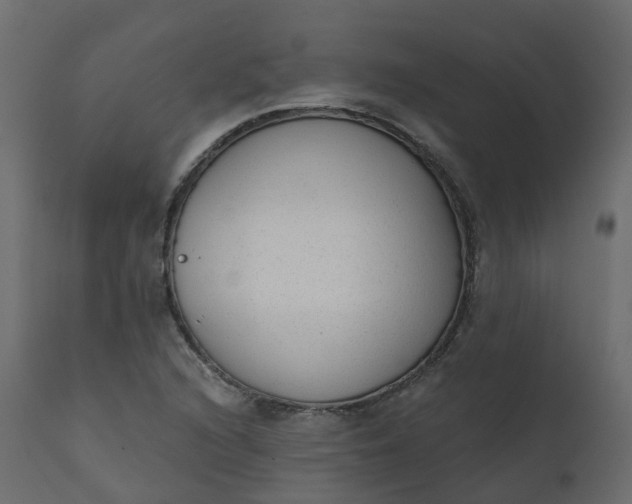 X0000110721216200906261447