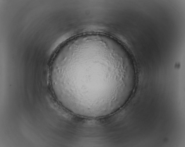 X0000110721219200906261448