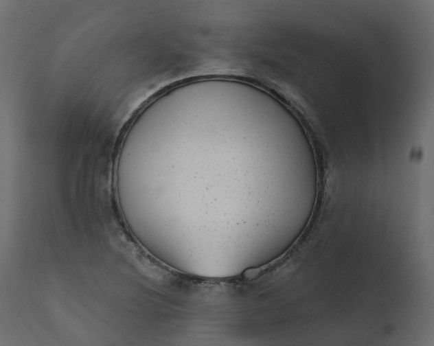 X0000110721220200906261448