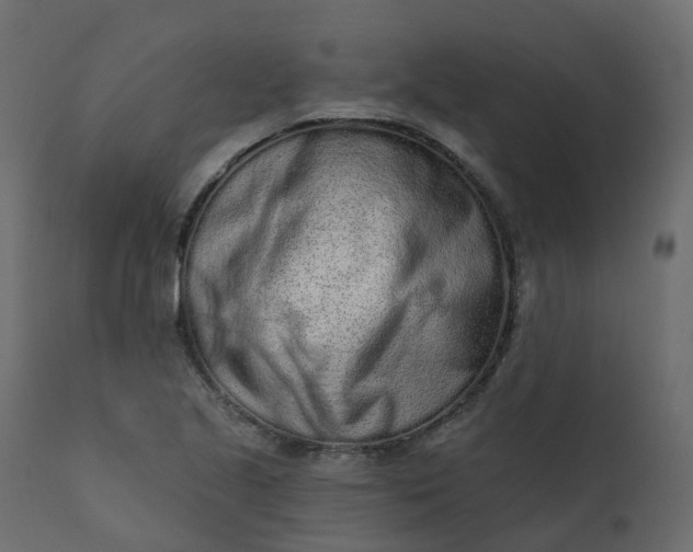 X0000110721221200906261448