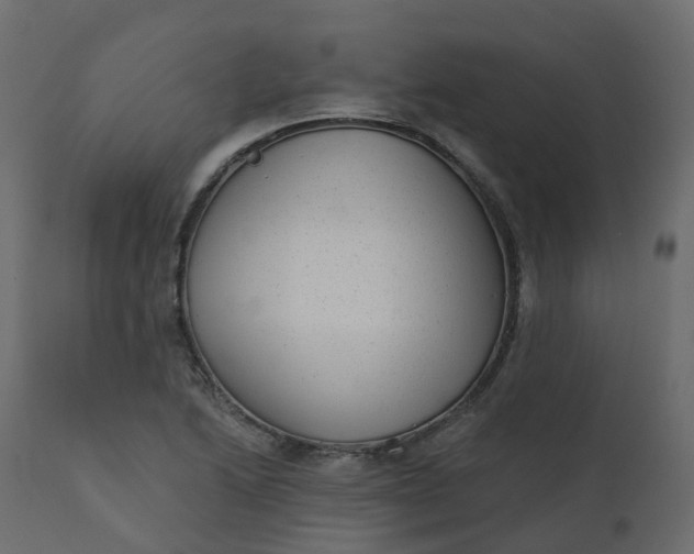 X0000110721222200906261448