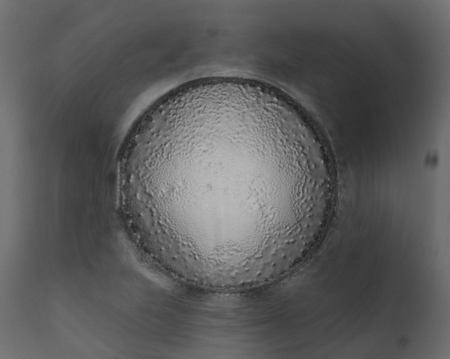 X0000110721223200906261448