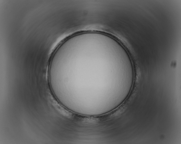 X0000110721224200906261448