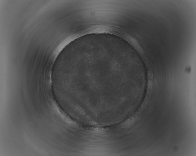 X0000110721226200906261448