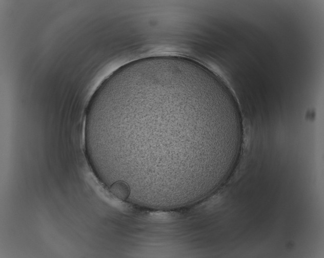 X0000110721227200906261448