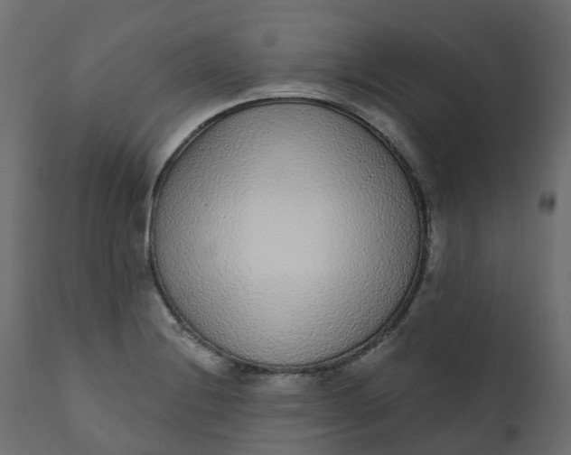 X0000110721228200906261448