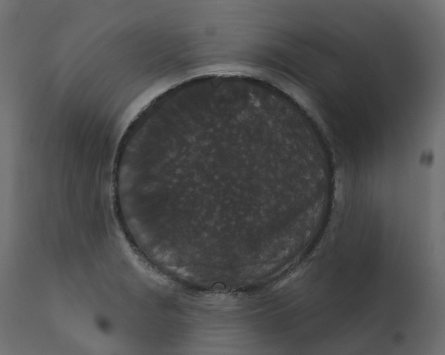 X0000110721229200906261448