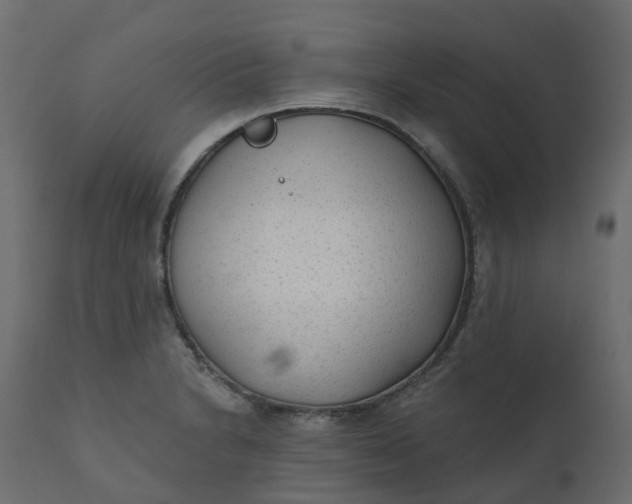 X0000110721230200906261448