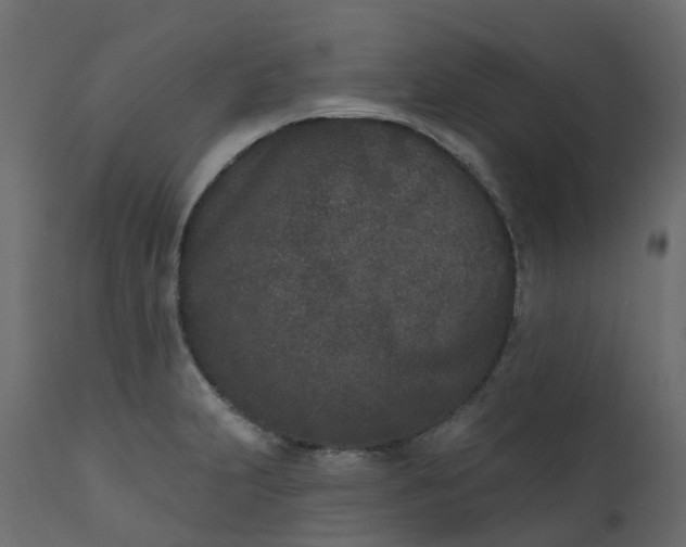 X0000110721231200906261448