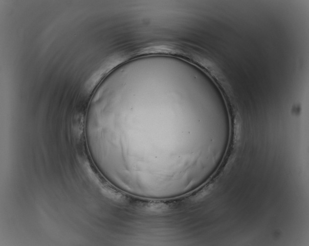 X0000110721233200906261448