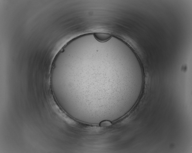 X0000110721236200906261448