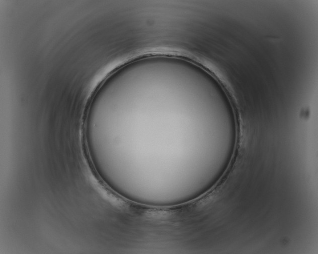 X0000110721237200906261448