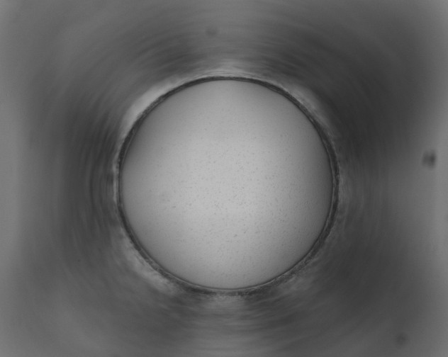 X0000110721238200906261448