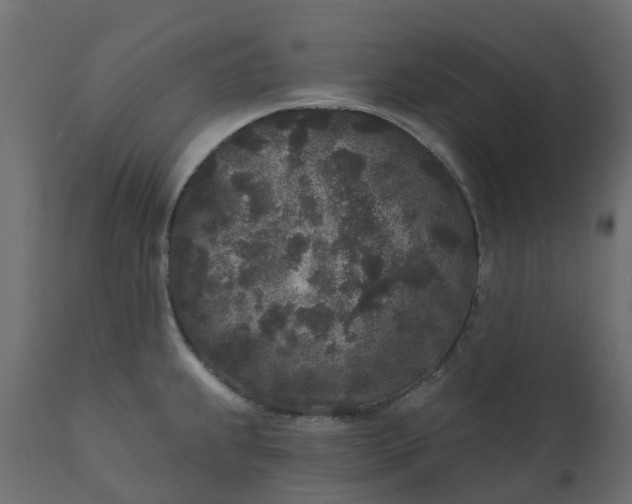 X0000110721239200906261448