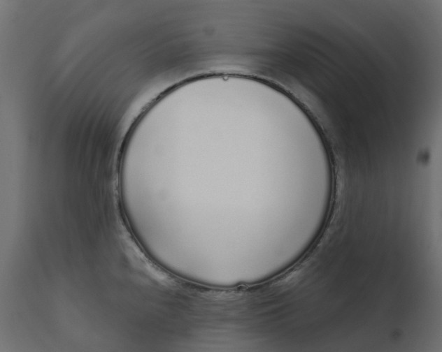 X0000110721240200906261448