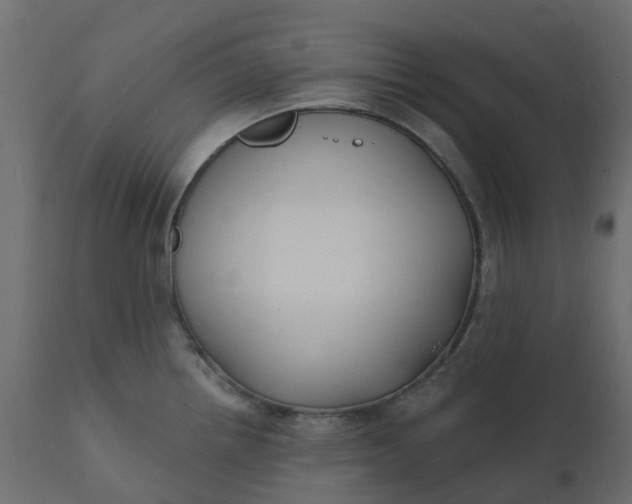 X0000110721242200906261448